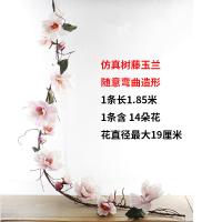 uploads/erp/collection/images/Home Garden/CongDing/XU0612195/img_b/XU0612195_img_b_2